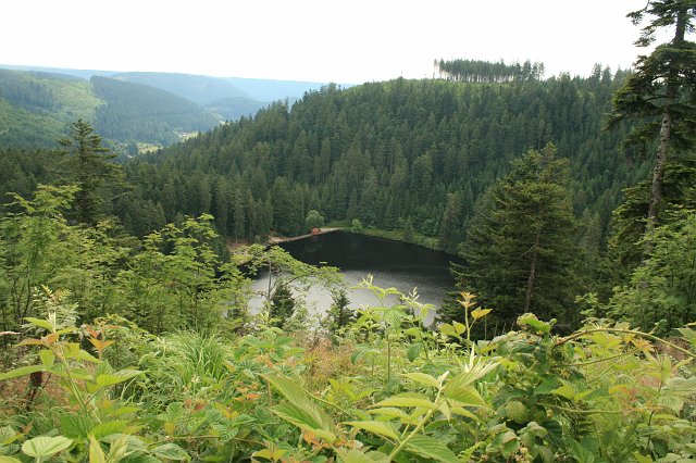 Glaswaldsee 2008 Bild 12